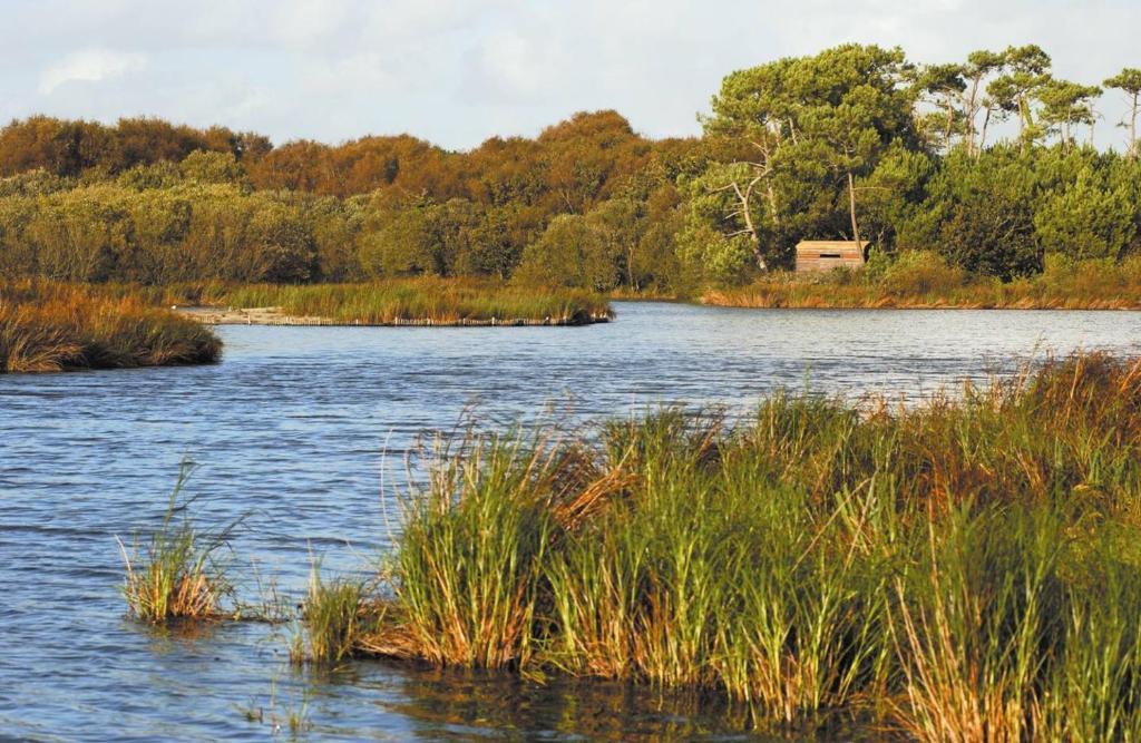 Camping Kost Ar Moor Fouesnant Zewnętrze zdjęcie